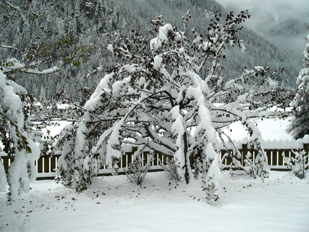 Haus Cornelia Διαμέρισμα Mallnitz Εξωτερικό φωτογραφία